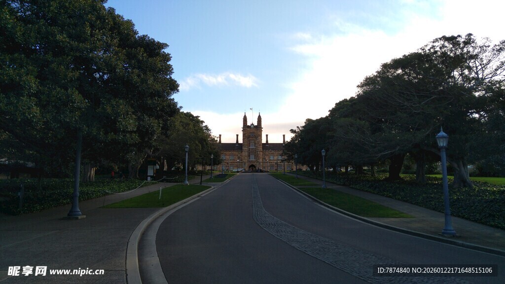 林荫道路通向远方建筑