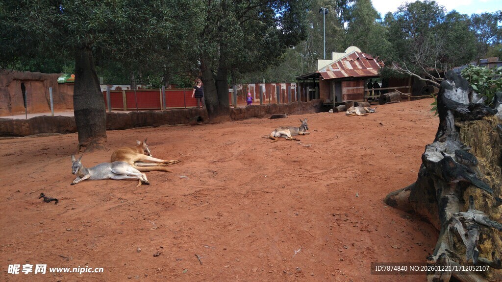 澳大利亚动物园