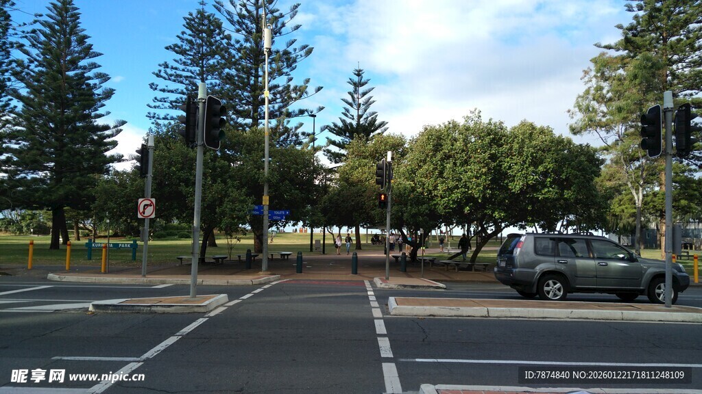 城市道路旁的绿树与车辆