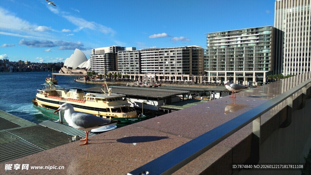海滨城市码头风光