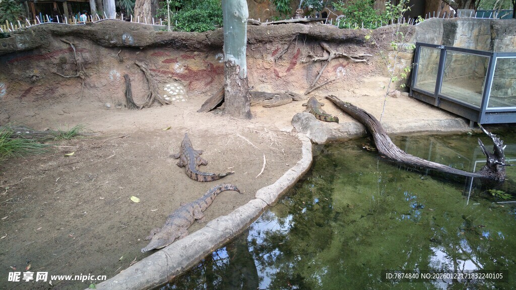 动物园中的动物栖息场景