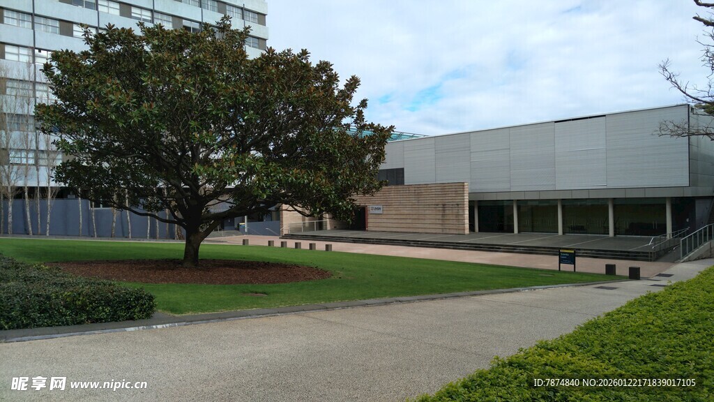 现代建筑旁的绿树与草坪