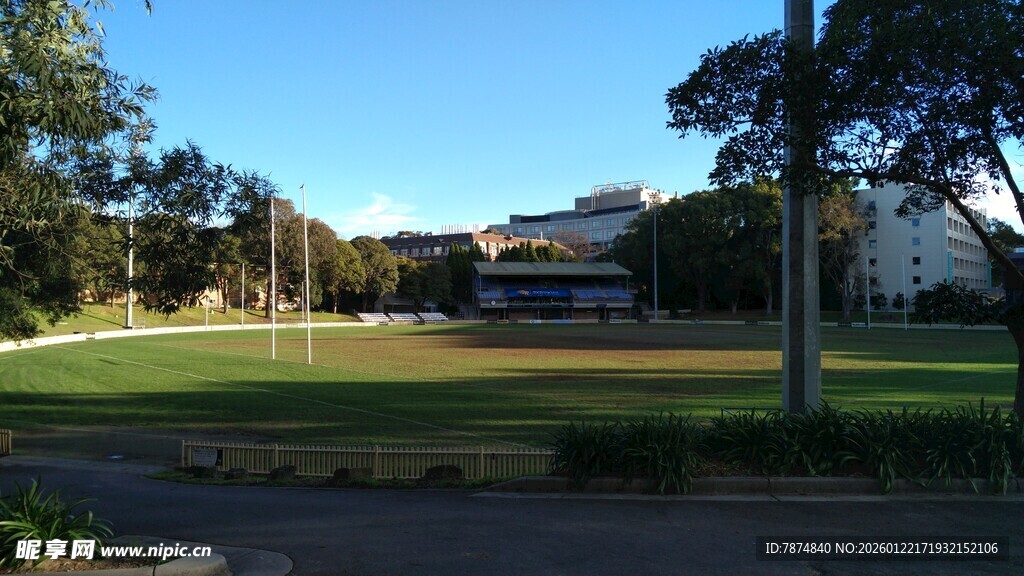 户外开阔绿地风景
