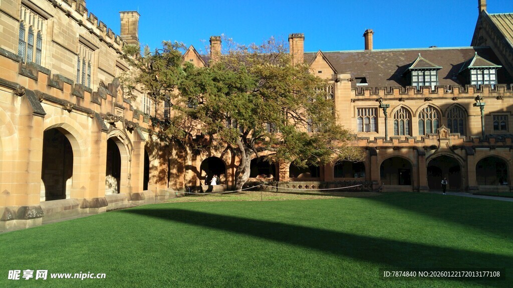 古老庭院中的葱郁大树