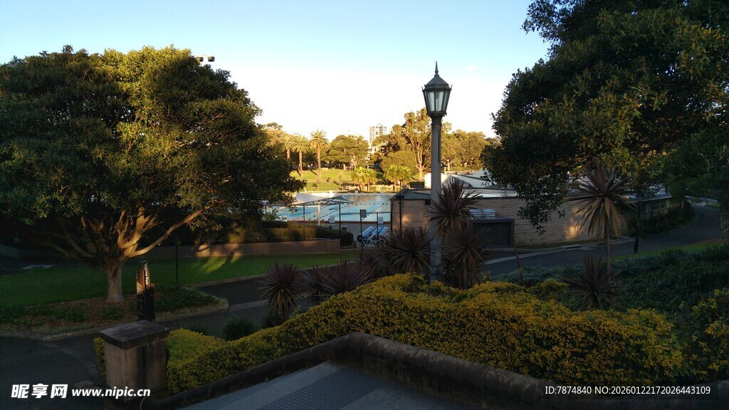 公园中的雕像与绿植景观