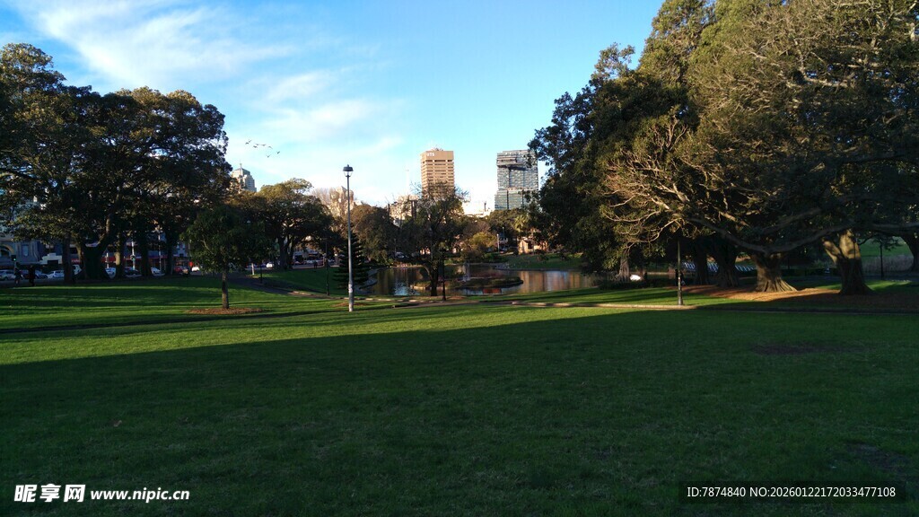 阳光照耀下的开阔草地