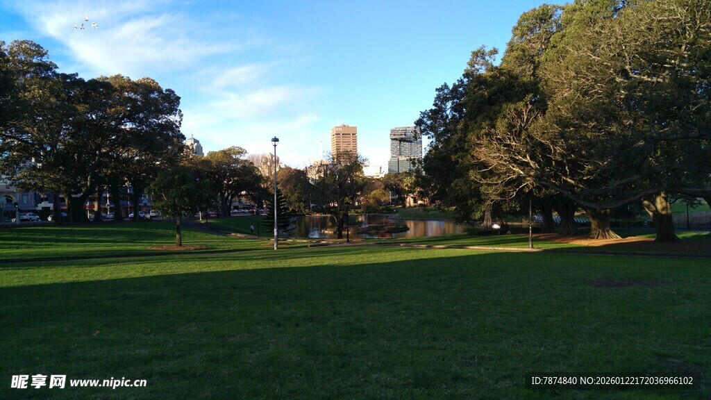 阳光照耀下的开阔绿荫草地