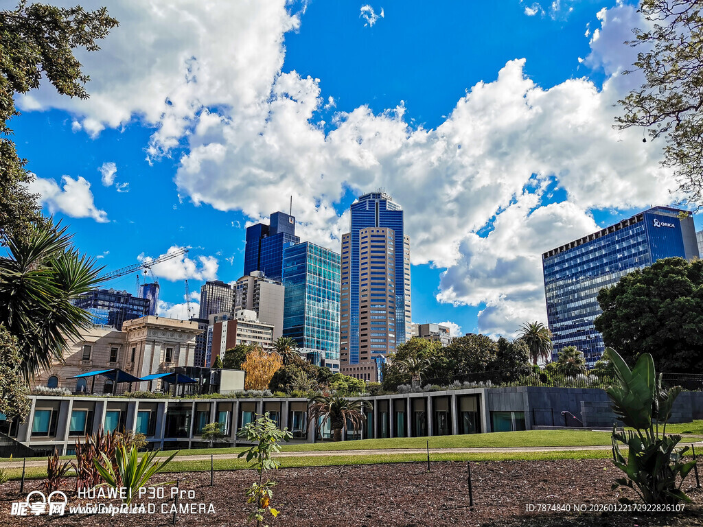 城市蓝天绿地与高楼景观