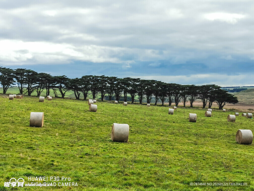 草原上的草垛与树木景观