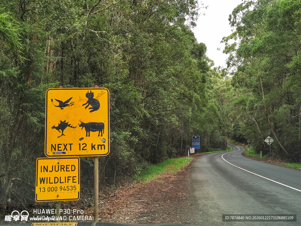 公路旁的野生动物警示标志