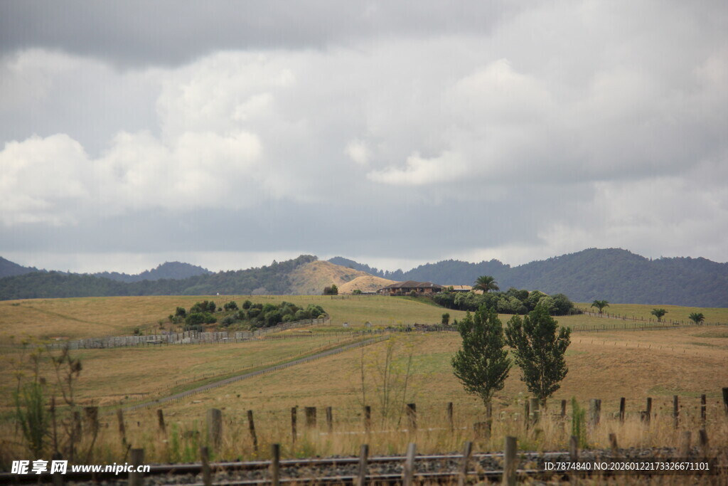 田园风光中的广袤田野