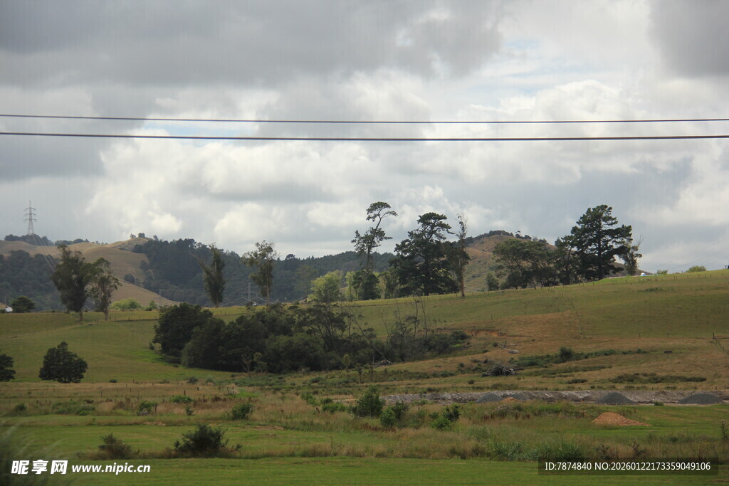 田园风光中的起伏草地与树木