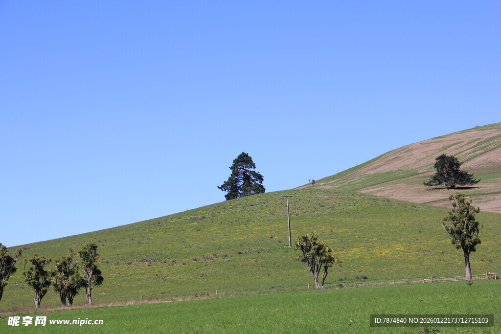 山坡绿树蓝天美景