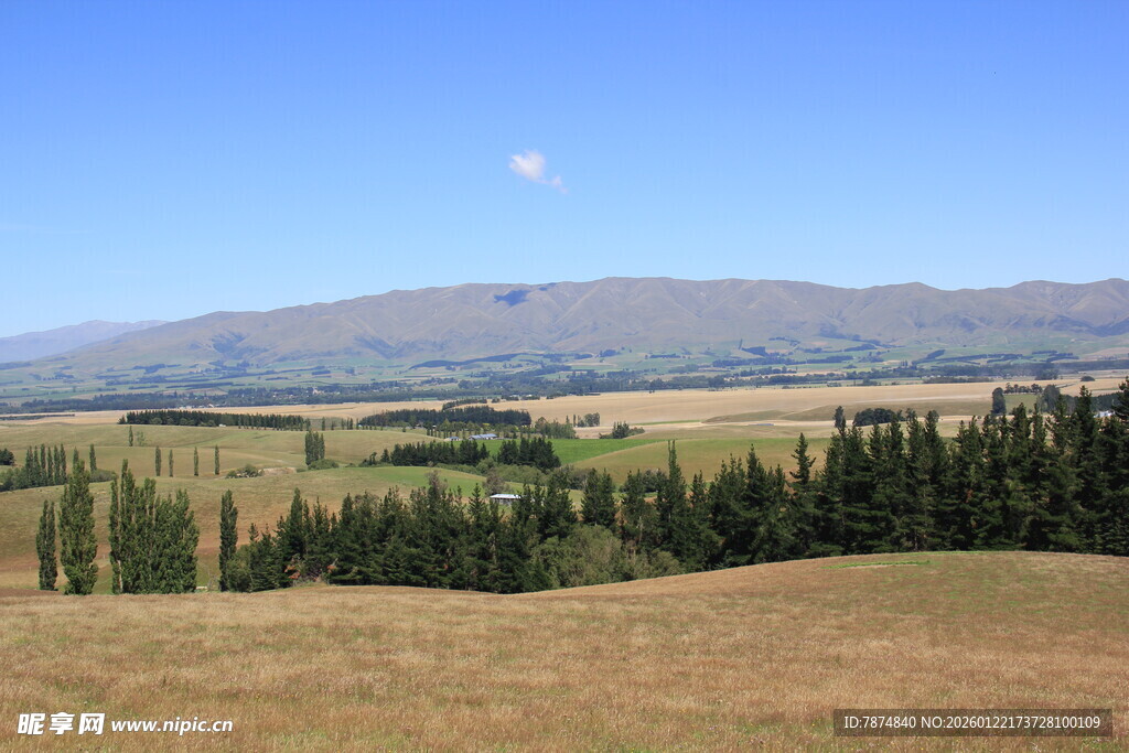 草原山林间的开阔美景