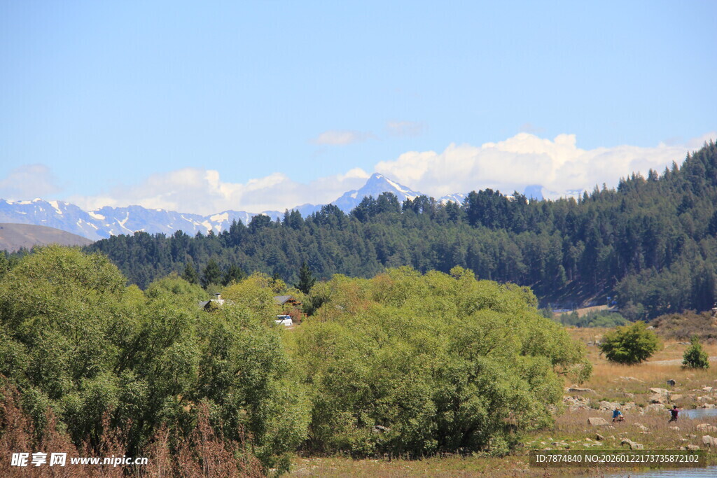 山间葱郁树林与远处雪山