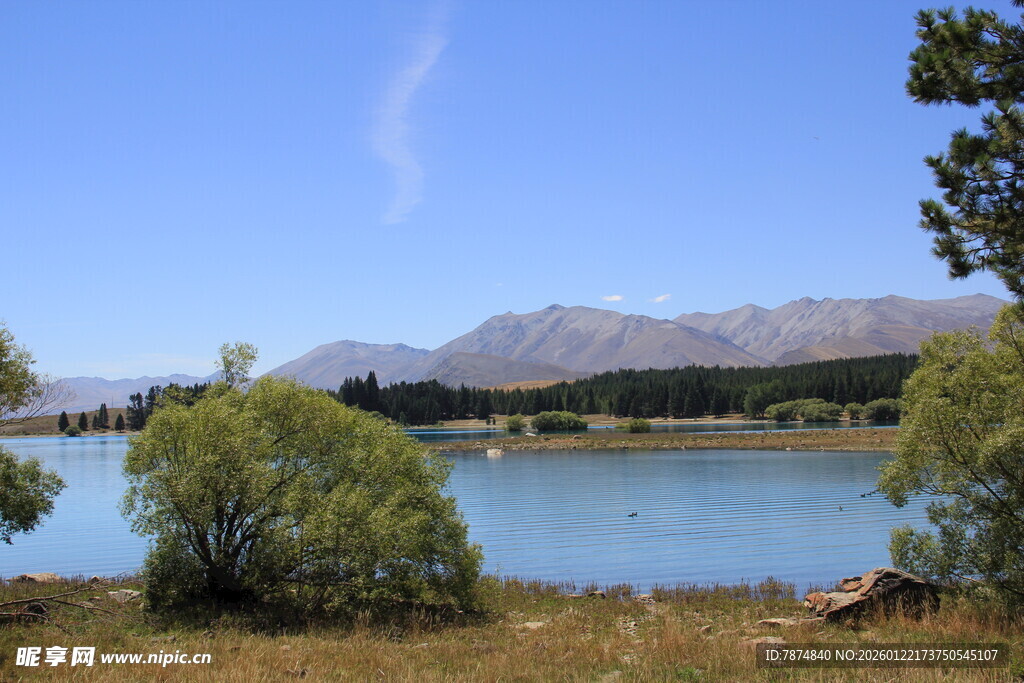 湖畔风光 远山绿树相映