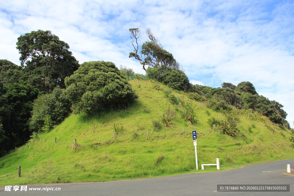 绿意盎然的山坡公路景观