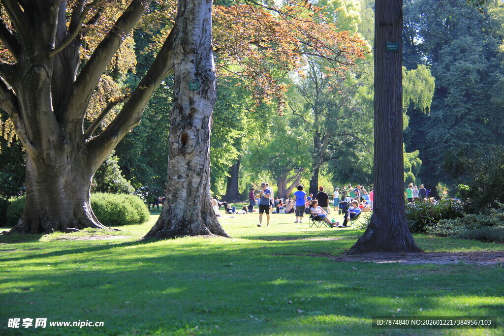 公园林荫下的休闲场景