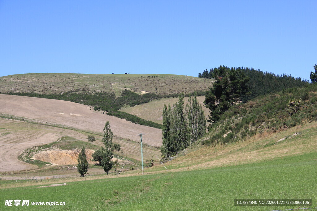 田园风光中的开阔田野景色