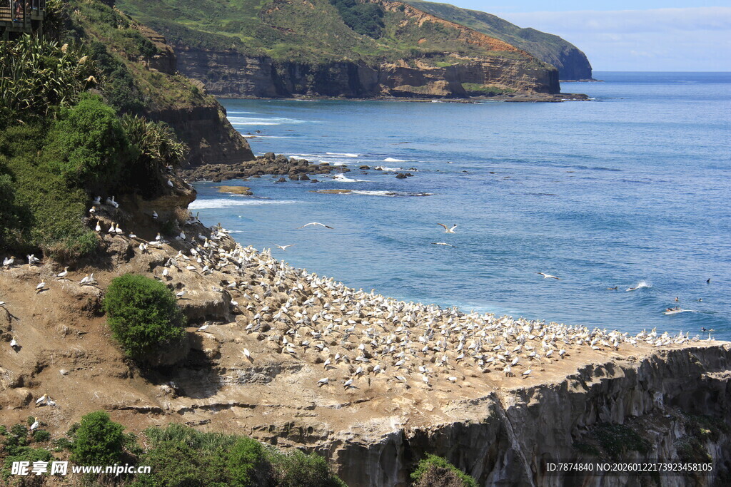 海岸边的岩石与葱郁山峦