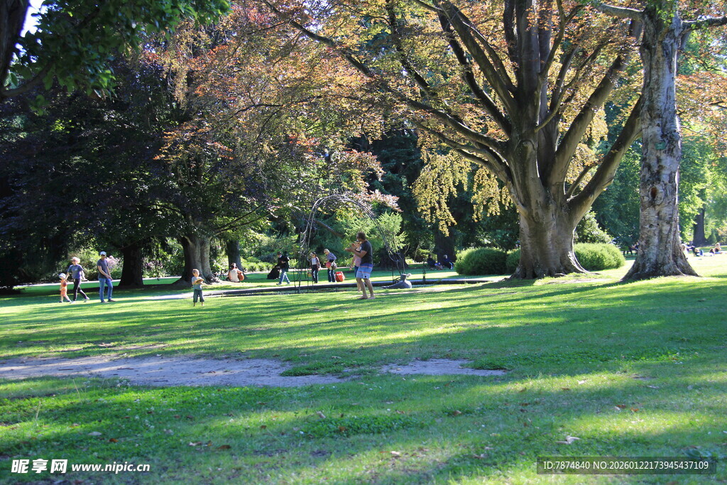 阳光照耀下的静谧公园