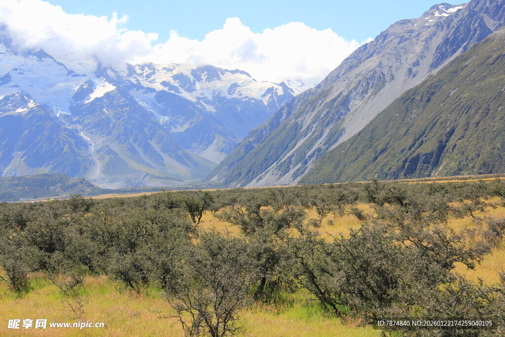 壮丽山间景色 绿意盎然