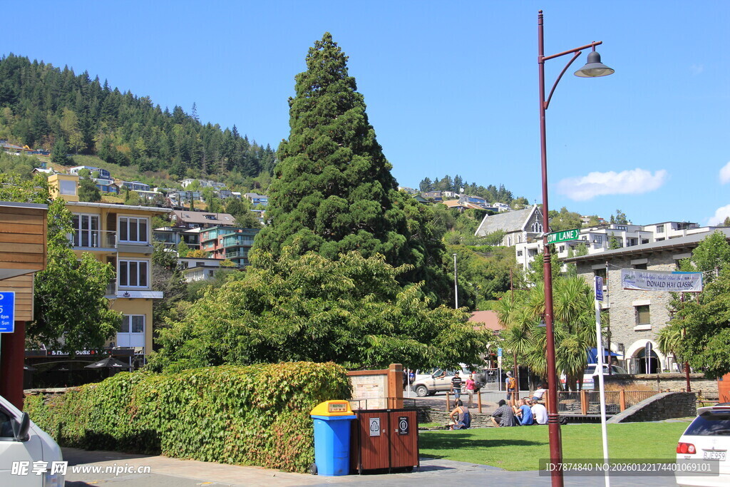 小镇街边的绿树与建筑