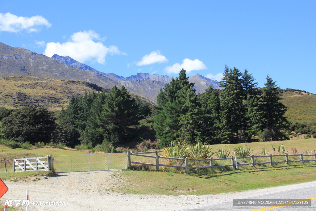 山间公路旁的林木与远山