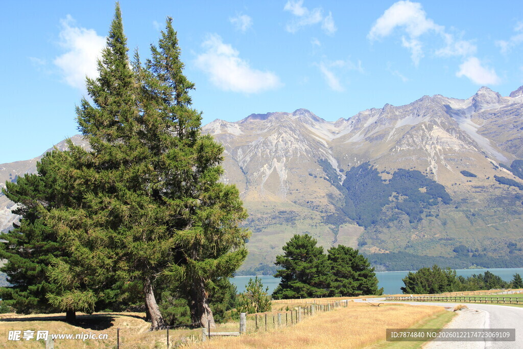 湖畔公路旁的青山绿树