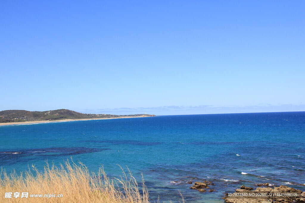 海边美景 蓝色大海与岸草