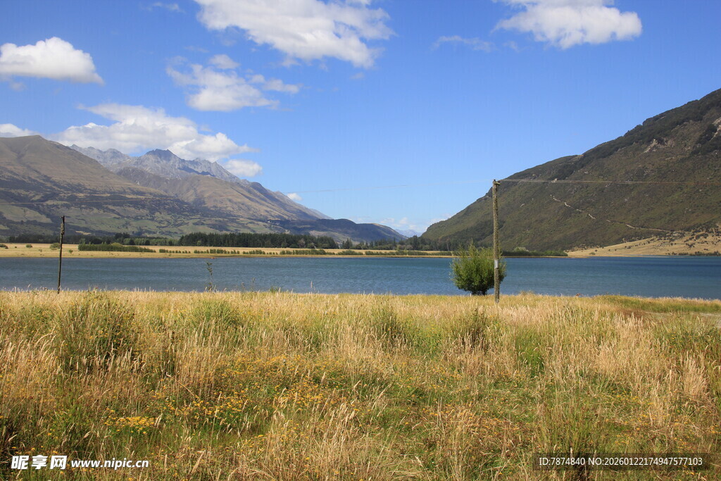 湖畔草原风光