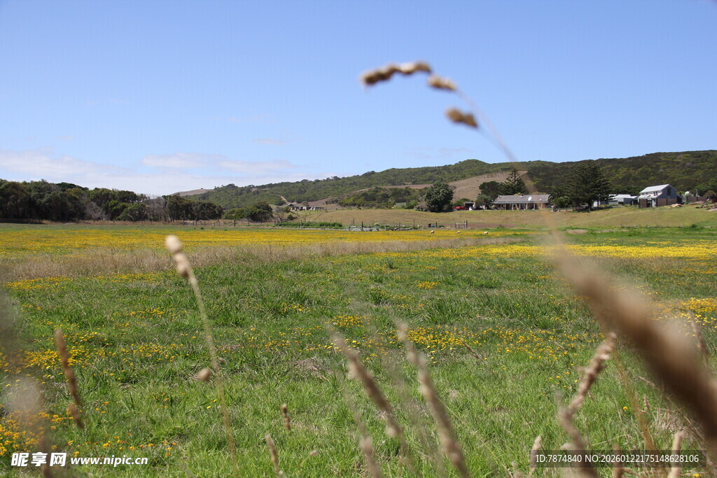 广袤田野间的自然景致