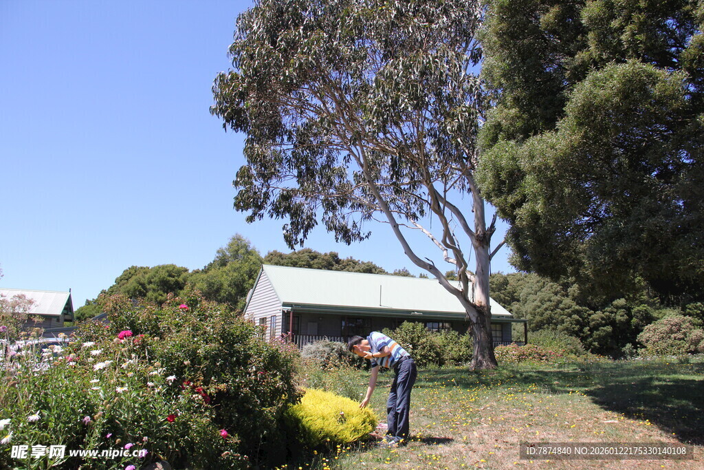 田园中两人在树下劳作