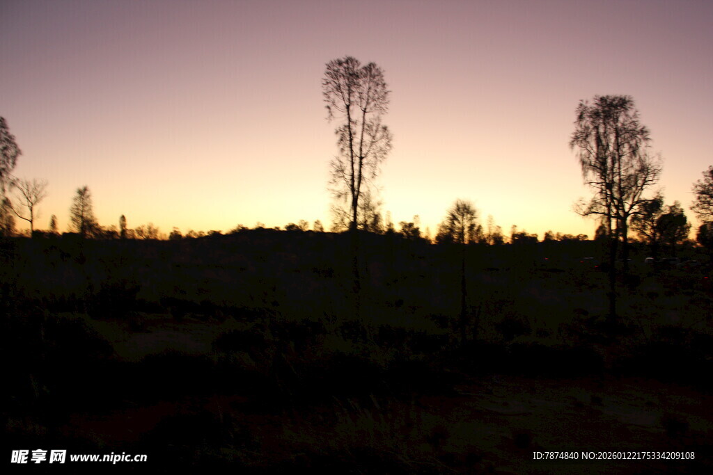 黄昏下的枯树与原野