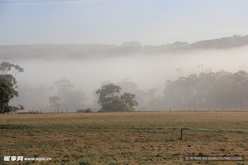 晨雾笼罩的开阔田野