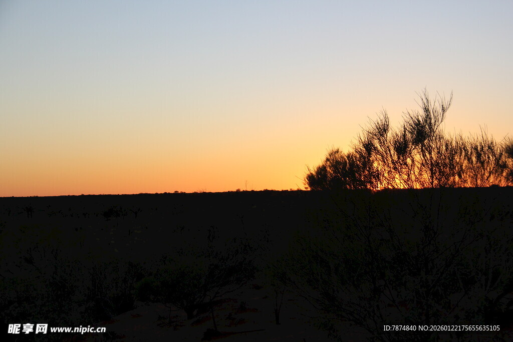 夕阳下的田野与树木