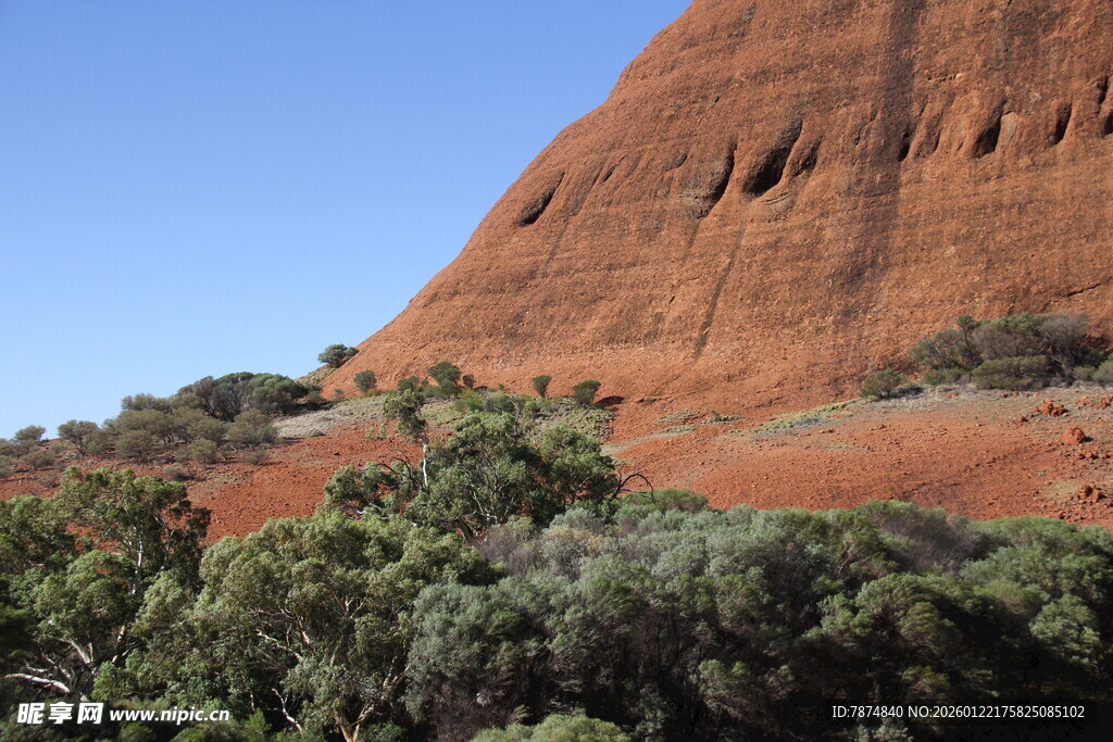 红色巨岩旁的葱郁植被