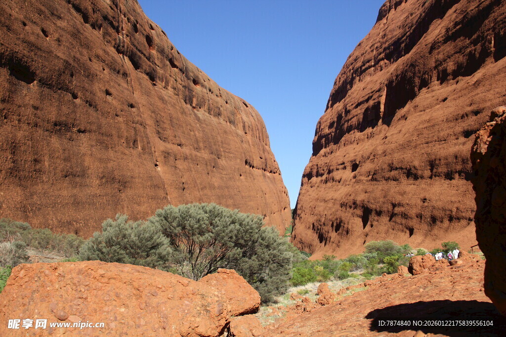 红色峡谷中的绿植景观