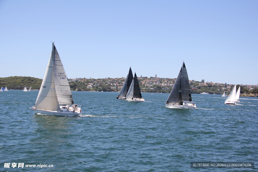 海上帆船竞赛场景