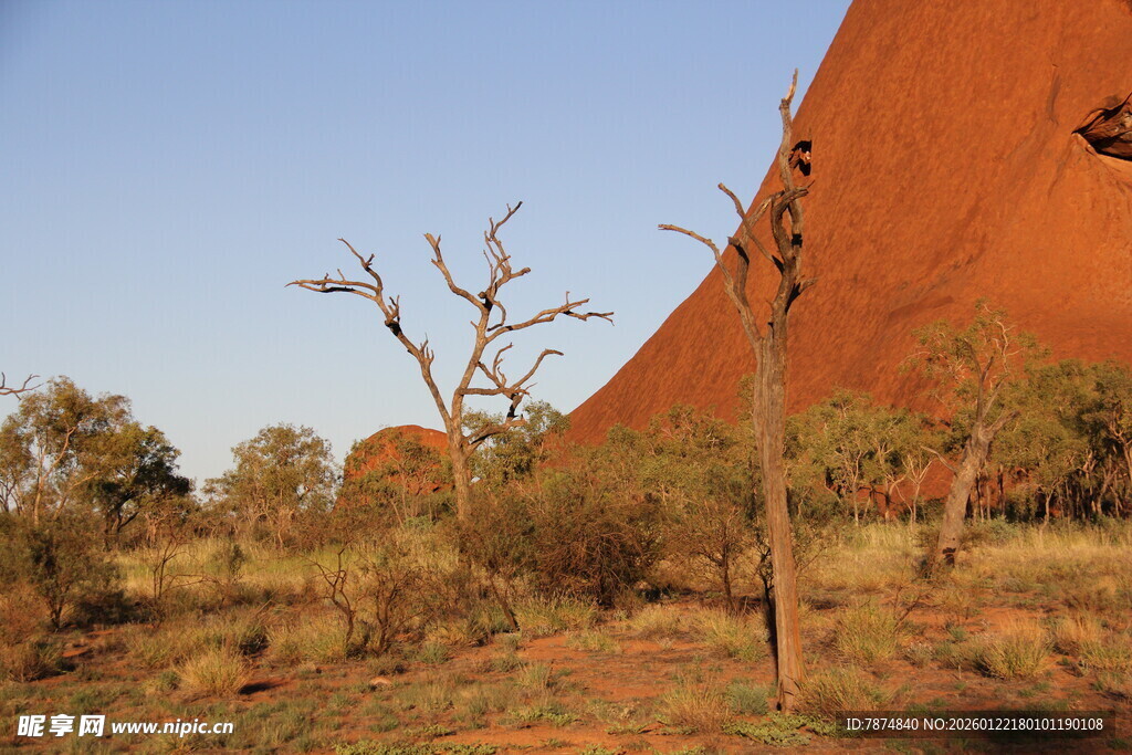 澳大利亚艾尔斯岩荒野景观