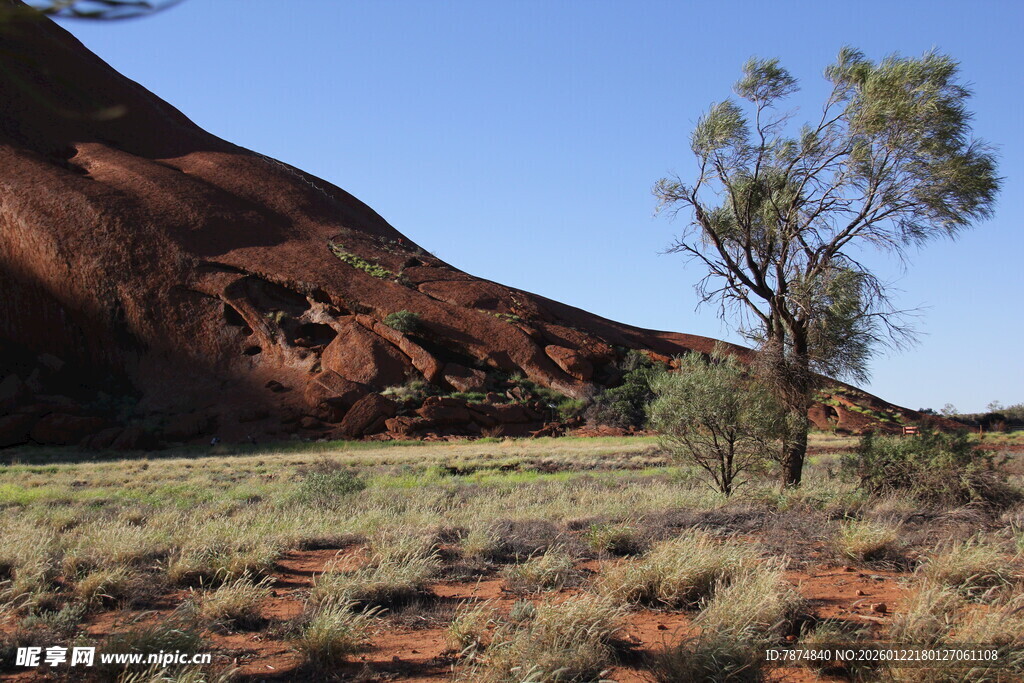 澳大利亚红岩荒野景观
