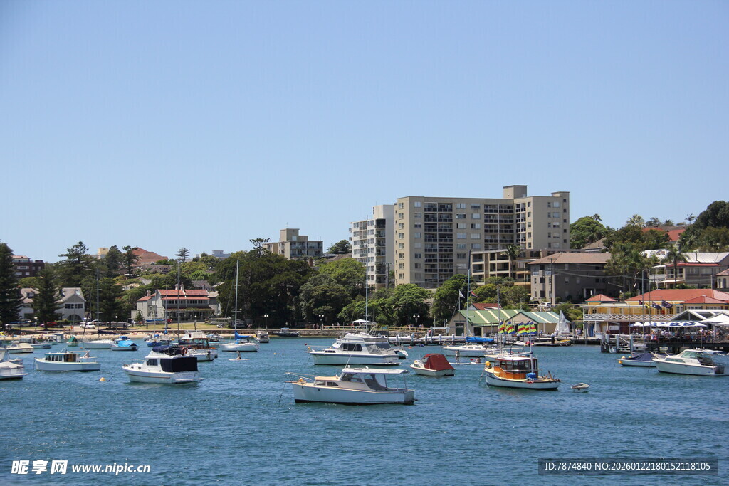 海滨停泊众多船只的景致