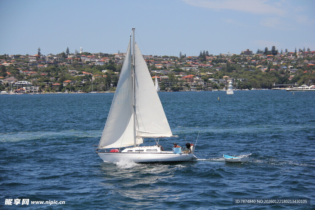 海上白帆船航行