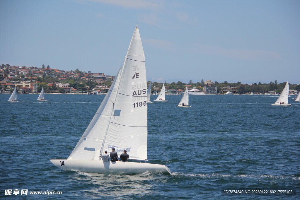 海上帆船航行美景