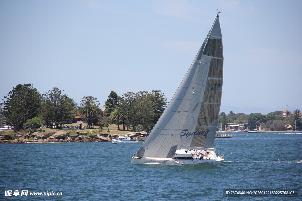 海上航行的白色帆船