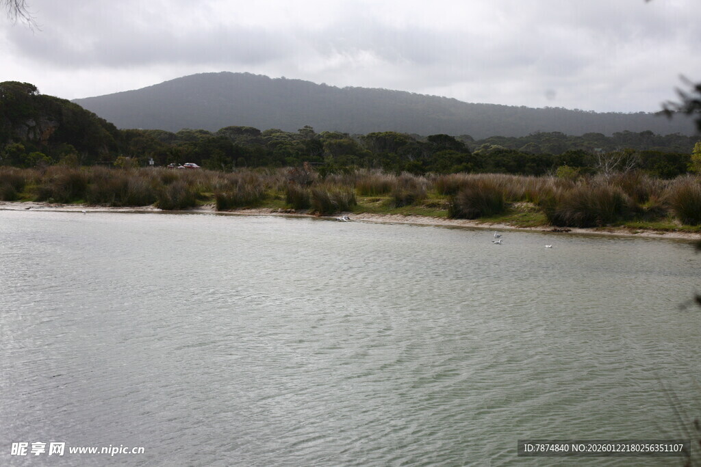 宁静湖畔的自然景致