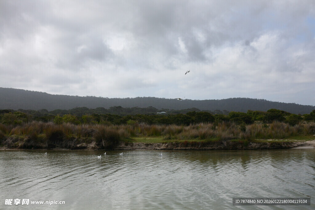 宁静湖畔的自然风光