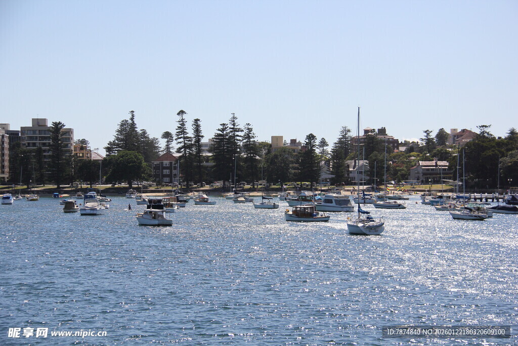 海港船只与岸边绿树景观