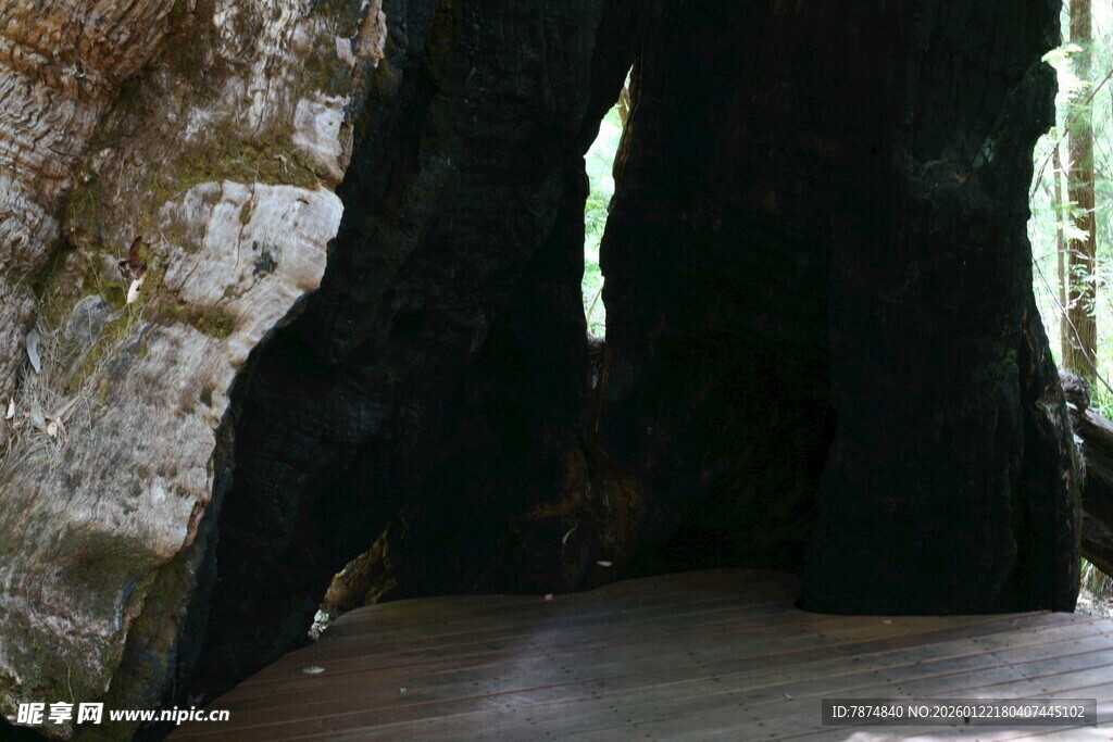 洞穴内部昏暗景象