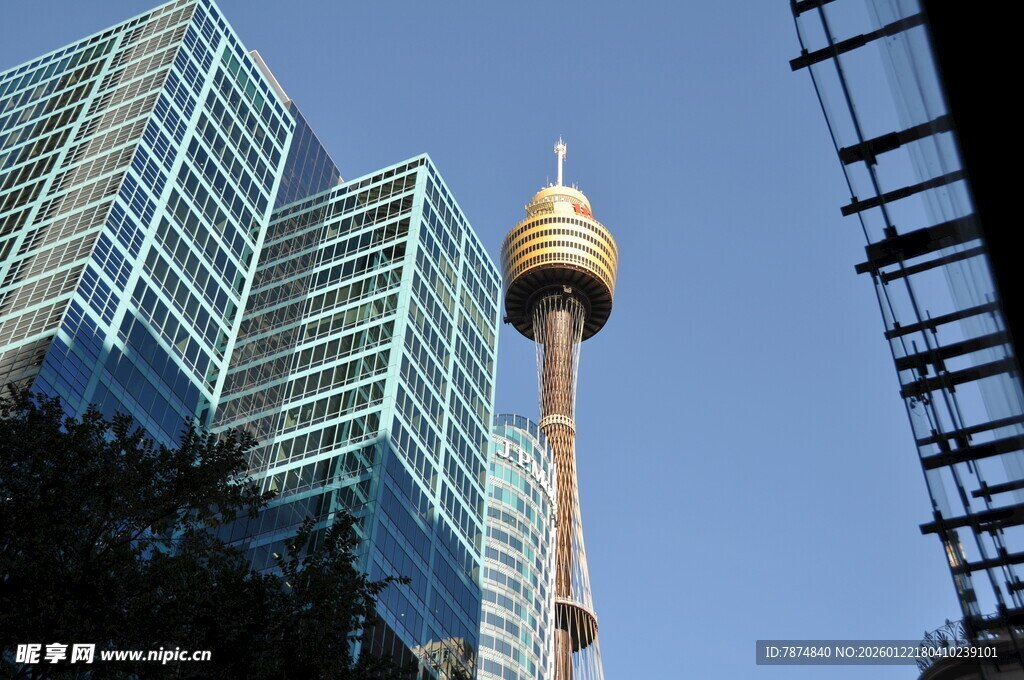悉尼城市地标塔景观